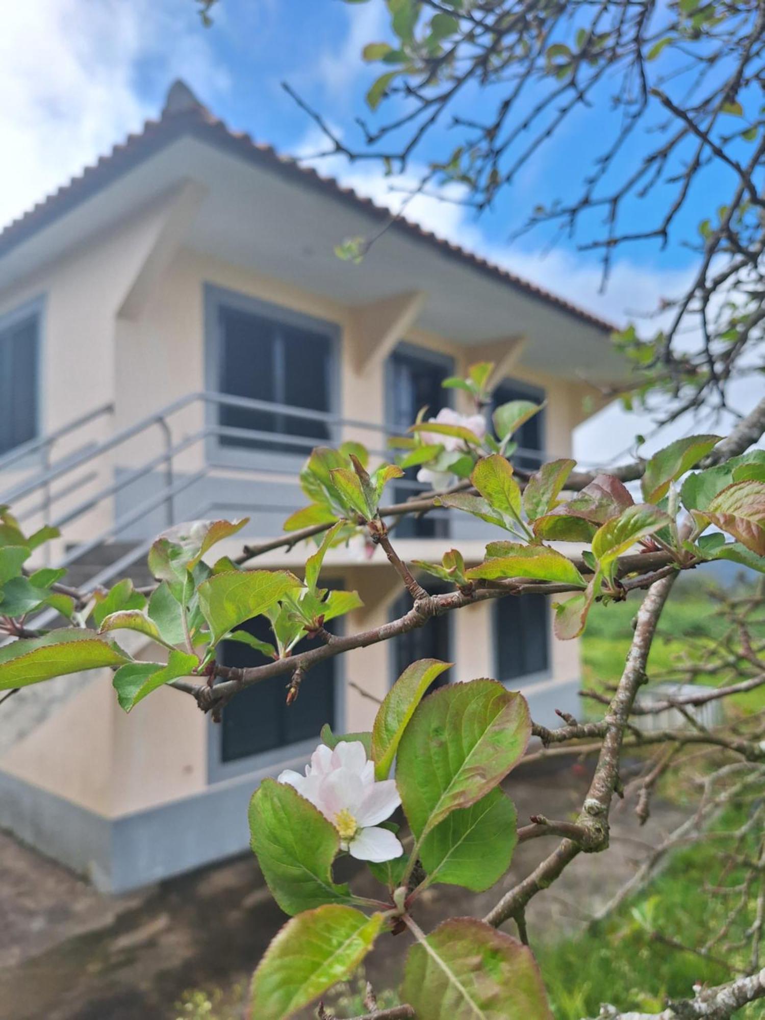 Villa Correia - Ribeiro Frio Sao Roque Do Faial Bagian luar foto